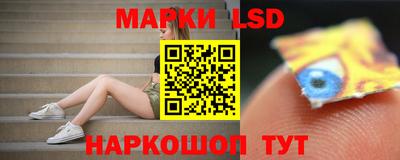 молекула духа Будённовск