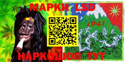 молекула духа Будённовск