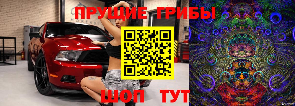 Псилоцибиновые грибы прущие грибы Томск