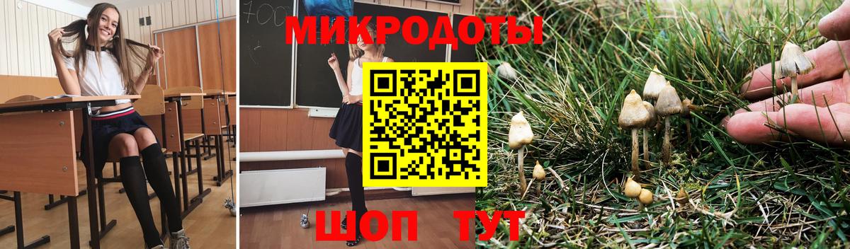 Псилоцибиновые грибы Psilocybine cubensis  Вход с VPN  Галлюциногенные грибы мухоморы  Томск 